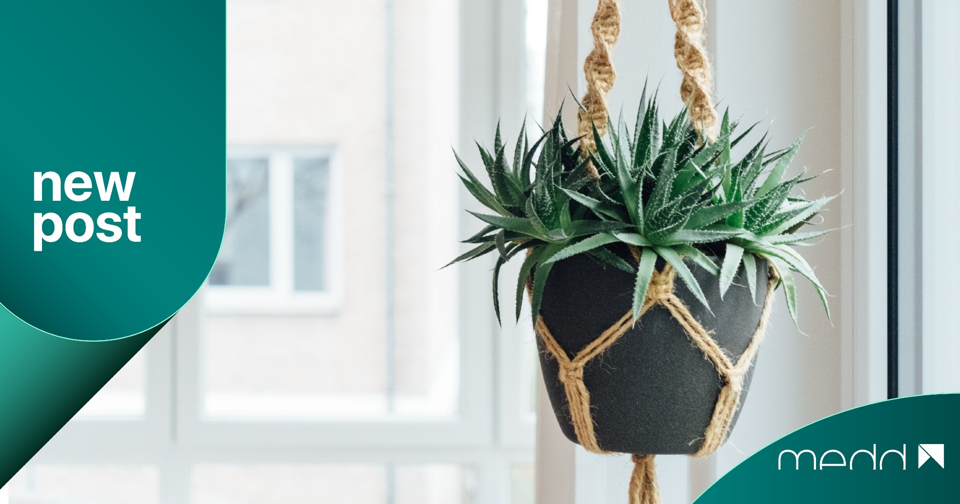 ¡Conoce los 5 principios básicos del ecodiseño!