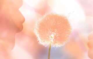 blog-cor-pantone-color-of-the-year-2023