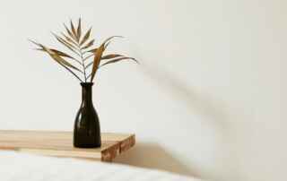 feng-shui-medd-design-blog-2024