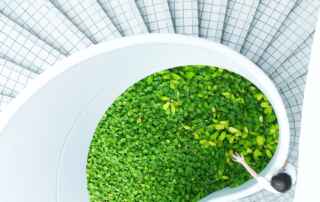 espaços-de-saúde-sustentáveis-medd-design-2024
