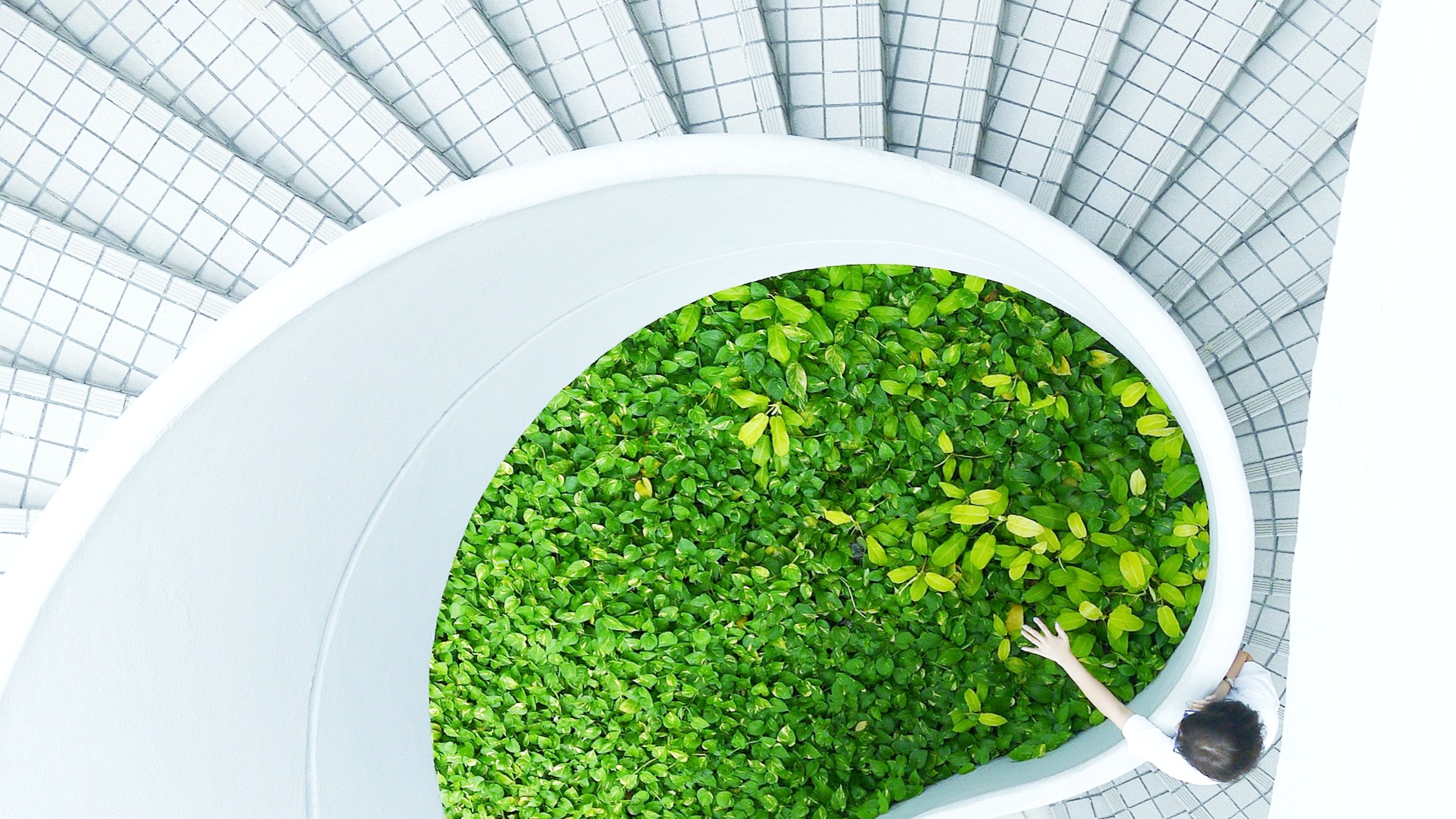 espaços-de-saúde-sustentáveis-medd-design-2024
