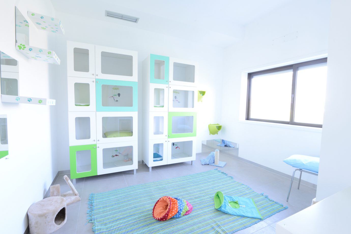 Vétérinaire de Cucujães. Vétérinaire de Cucujães. Medd Agencement.