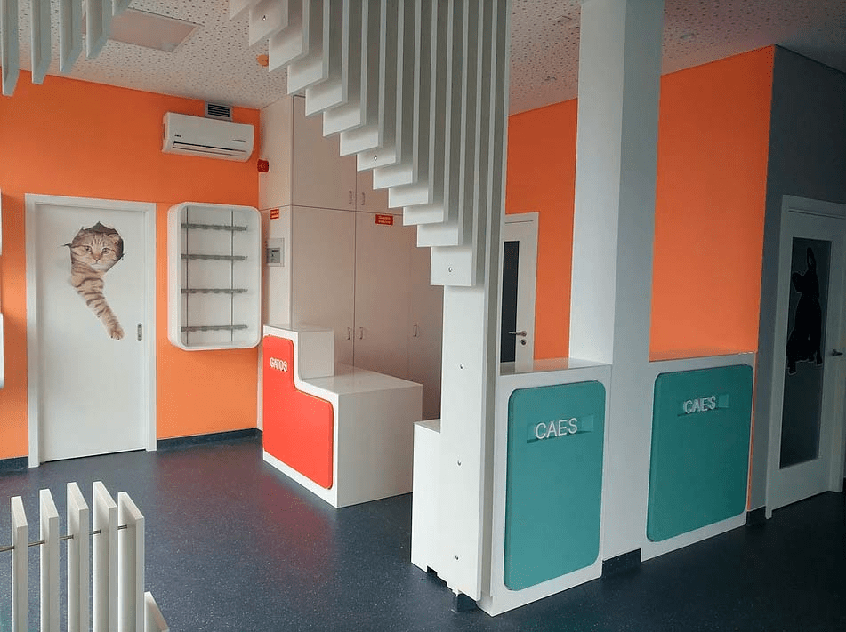 Clinique Vétérinaire Vetamigo Clinique Vétérinaire Vetamigo