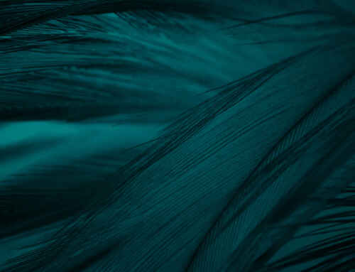 Porque acreditamos que a Pantone está a nadar contra a corrente e porque o Verde será a cor de 2026